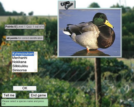 CBirding | 1Uutiset - Lukemisen tähden | Scoop.it