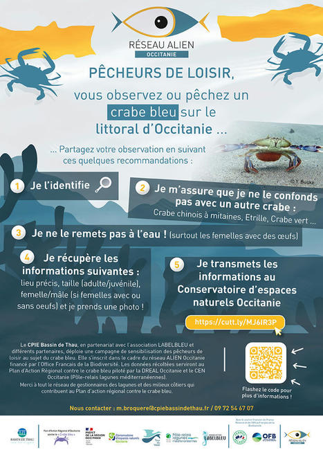 Sensibilisation des pêcheurs de loisir au sujet du crabe bleu | Variétés entomologiques | Scoop.it