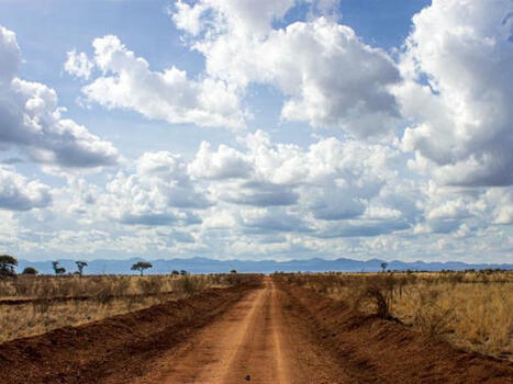 Decolonising Minds, Building Bridges: The Ngũgĩ-Chakava Partnership | Metaglossia: The Translation World | Scoop.it