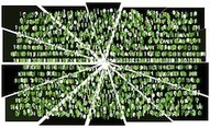 Dutch Police Takedown C&Cs Used by Grum Botnet | ICT Security-S&eacute;curit&eacute; PC et Internet | Scoop.it