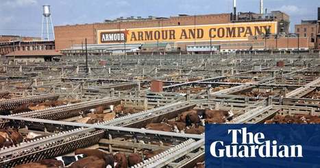 The price of plenty: how beef changed America – podcast | News | The Guardian | Aggregate Demand and Supply | Scoop.it