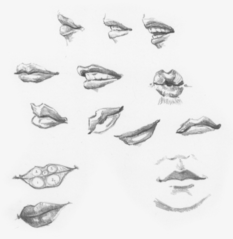 mouth drawing' in Drawing References and Resources