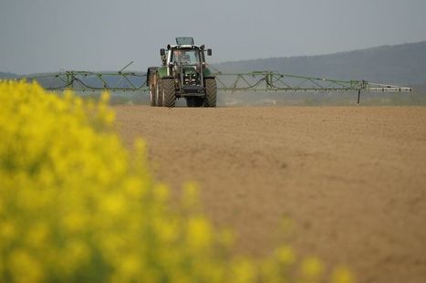 L'Invité(e) culture : "Malchimie | L’agriculture empoisonnée selon Gisèle Bienne | Ce monde à inventer ! | Scoop.it