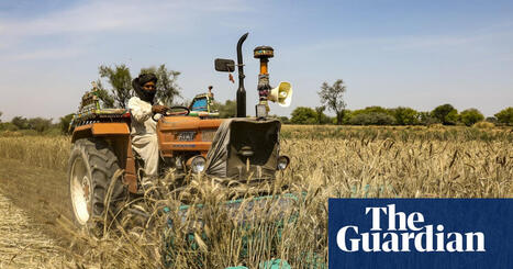 &lsquo;Food security timebomb&rsquo;: a visual guide to the Gulf fertiliser blockade | Strait of Hormuz | The Guardian | International Economics: IB Economics | Scoop.it