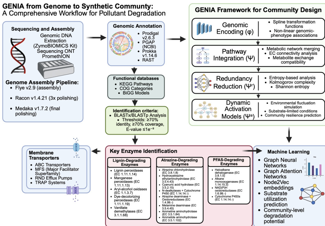 Machine Learning-Guided Synthetic Microbial Com...