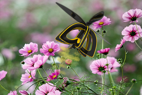 Robotic Bee Drones Could Be The Future Of Agriculture | Biomimicry | Scoop.it