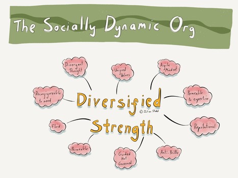 Aspects of the Socially Dynamic Organisation: Diversified Strength | APRENDIZAJE | Scoop.it