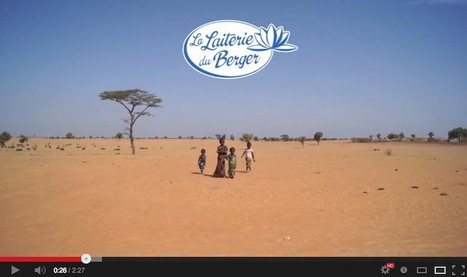 Vid&eacute;o : Au S&eacute;n&eacute;gal avec La Laiterie du Berger ! | Innovation Sociale et Entrepreneuriat Social | Scoop.it