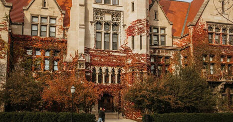 Woman, 21, Allegedly Raped at Chicago Frat Party as Men Cheered - okmagazine.com | Operation Oya | Scoop.it