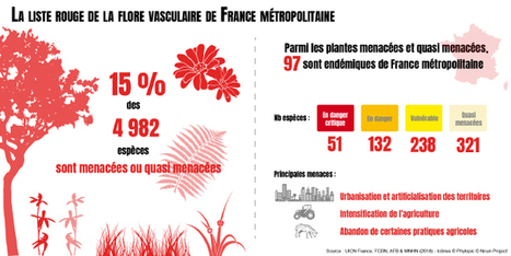 15&nbsp;% des esp&egrave;ces de la flore de France m&eacute;tropolitaine risquent de dispara&icirc;tre | ECOLOGIE - ENVIRONNEMENT | Scoop.it