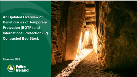 F&aacute;ilte Ireland Research: Updated Overview of Government Contracted Bedstock- Winter 2025&nbsp; | Industry Sectors | Scoop.it