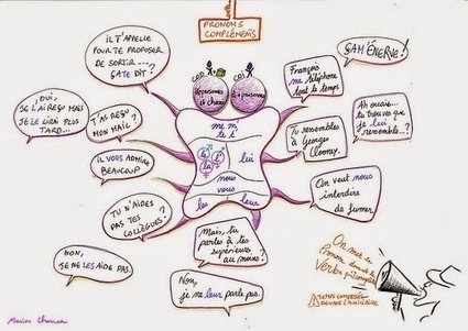 Fle : Les Pronoms CompléMents - Indulgy | Curriculum Development | Scoop.it