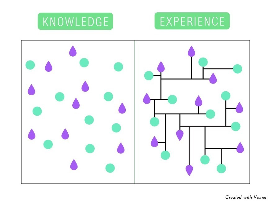 Knowledge experience