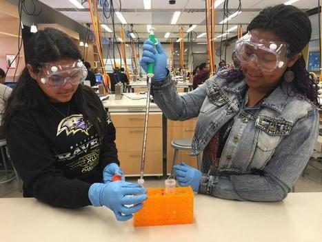 Universities Collaborate to Attract Females, Other Minorities to STEM | STEM Advocate | Scoop.it