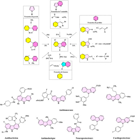 Nouveaux accès aux α-carbolines et applications biologiques | Life Sciences Université Paris-Saclay | Scoop.it
