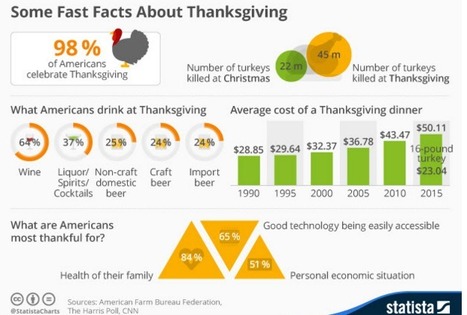 Infographic: Some Fast Facts About Thanksgiving | Public Relations & Social Marketing Insight | Scoop.it