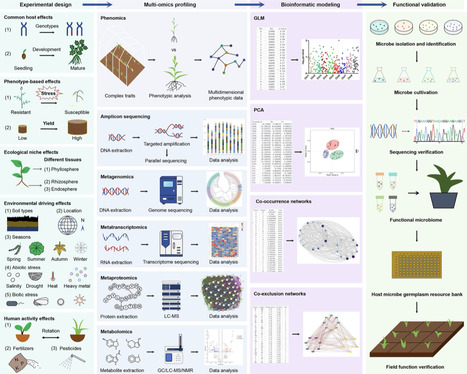 The defining features of intrinsic transcriptio...