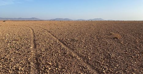 'Catastrophic' MOROCCAN drought to boost import, subsidy costs | CIHEAM Press Review | Scoop.it