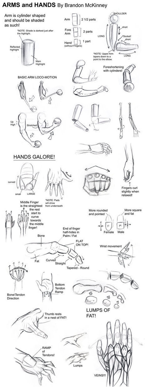 Hand study 2  Hand sketch, Drawing techniques, Drawing anime hands