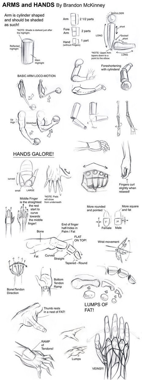 Arms and Hands Tutorial | Drawing References and Resources | Scoop.it