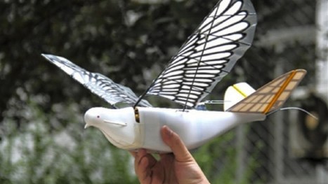 Bionic Flying Bird soars at China Robot Show | Metaverse | Scoop.it