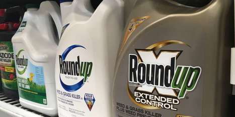 La justice américaine reconnaît à nouveau le rôle du désherbant Roundup de Monsanto dans un cancer | Les Colocs du jardin | Scoop.it