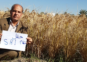 IRAQ: Khidhir Abbas Hameed presents SRI research from three provinces | SRI Global News ++ March - May 2025    System of Rice Intensification (SRI) | Scoop.it