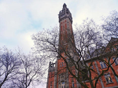 Pour la mairie de Lille, &laquo;&nbsp;ce n'est jamais un plaisir de faire couper un arbre&nbsp;&raquo; | Lille Actu | Nature en ville | Scoop.it