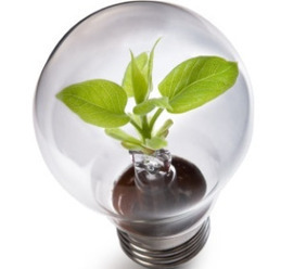 Mini-idro, biomasse e micro generazione diffusa: un nuovo strumento di innovazione verde per l’Alto Agide | Energie Rinnovabili in Italia: Presente e Futuro nello Sviluppo Sostenibile | Scoop.it