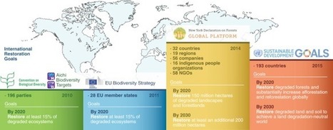 The long-term restoration of ecosystem complexity | Biodiversité | Scoop.it