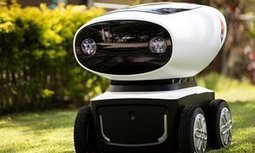 Domino’s unveil 'world’s first' pizza delivery robot | consumer psychology | Scoop.it