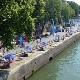 Sous les pav&eacute;s, la biodiversit&eacute; &hellip; | Paysage - Agriculture | Scoop.it