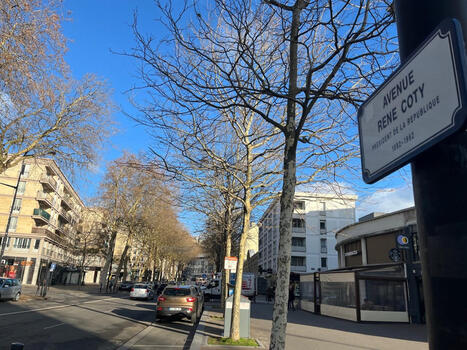 Commerce au Havre : l'avenue Ren&eacute;-Coty conna&icirc;tra-t-elle le m&ecirc;me renouveau que la rue de Paris&nbsp;? | Veille territoriale AURH | Scoop.it