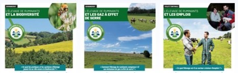 L'élevage de ruminants et les services rendus | Lait de Normandie... et d'ailleurs | Scoop.it