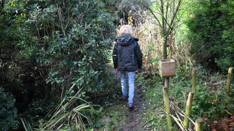 Cet hiver, quatre gestes &agrave; adopter pour pr&eacute;server la biodiversit&eacute; dans son jardin&hellip; ou depuis son balcon | Actu environnement en HdF | Scoop.it