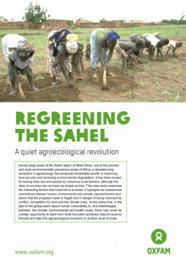 Regreening the Sahel: A quiet agroecological evolution (Burkina Faso) - OXFAM via ReliefWeb | Agroecologie et Syst&egrave;mes Alimentaires Durables | Scoop.it