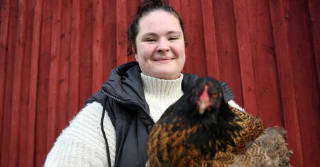 Pohjanmaan Vöyriltä löytyy muhkeita kanoja: ”Juoksevat kuin Kim Kardashian” – yhä useampi tuottaa syömänsä kananmunat | Pohjanmaa | Yle | 1Uutiset - Lukemisen tähden | Scoop.it