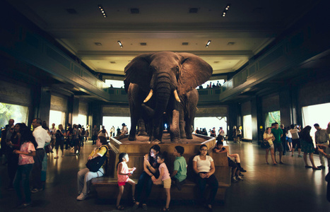 Hadoop remains the elephant in the room of big data - VentureBeat | Business Intelligence Insights | Scoop.it
