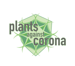 Plants Against Corona | Plant Molecular Farming | Scoop.it