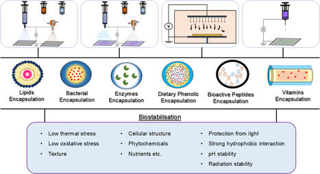 EHD techniques for biostabilizing food and functional biomolecules: a comprehensive review [Journal of Food Measurement and Characterization] | IPCI : Ingénierie de Produits à l'interface Cuisine-Industrie | Scoop.it