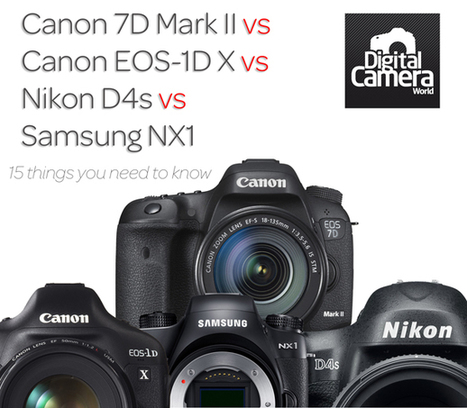 Canon 7D Mark II vs Canon EOS-1D X vs Nikon D4s vs Samsung NX1: 15 things you need to know | Digital Camera World | Everything Photographic | Scoop.it