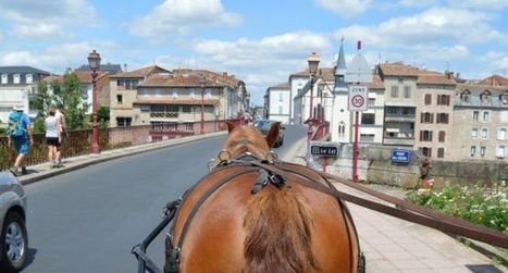 Un dipl&ocirc;me pour apprendre  &agrave; mener des chevaux attel&eacute;s | Cheval et Nature | Scoop.it