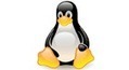 Ranking Distribuciones Linux Enero 2013 | Programación Web desde cero | Scoop.it