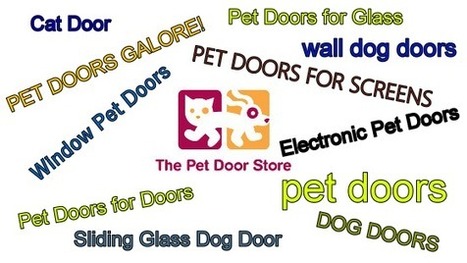 The Pet Door Store Llc Scoop It