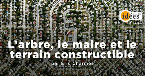 L’arbre, le maire et le terrain constructible - La Vie des idées | ZAN - Zéro artificialisation nette | Scoop.it
