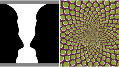 11 Puzzling Optical Illusions and How They Work - Interesting Engineering | iPads, MakerEd and More  in Education | Scoop.it
