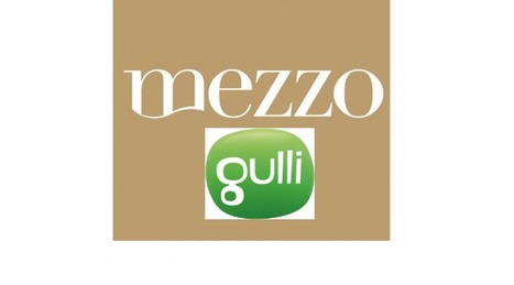 Lagard&egrave;re: Mezzo chez Les Echos-Le Parisien et Canal+, Gulli chez M6 | DocPresse ESJ Lille | Scoop.it