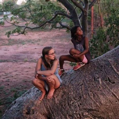 Indigenous uni students say lack of cultural understanding affecting graduate numbers | Australian Indigenous Education | Scoop.it