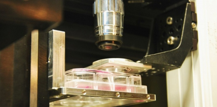 VIDEO. Comment fonctionne la bio-impression 3D laser ? | Innovations & RSE à Bordeaux et en Gironde | Scoop.it