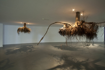 Giuseppe Licari: Humus | Art Installations, Sculpture, Contemporary Art | Scoop.it